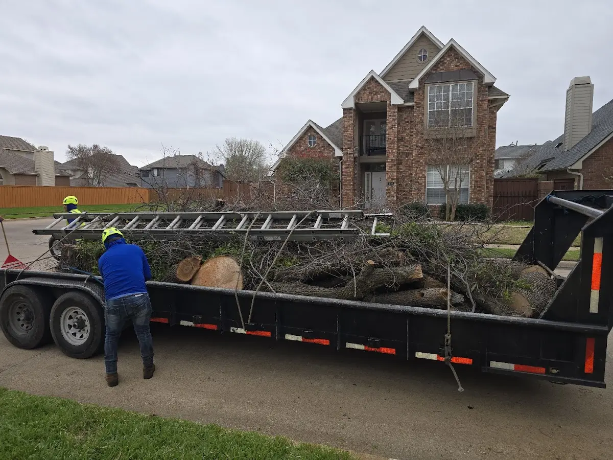Expert Crown Reduction with proper safety equipment in West Jordan